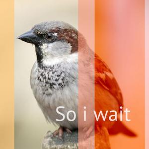 So I Wait