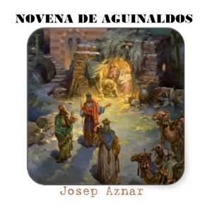 Consideración Día Noveno