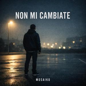 Non mi cambiate