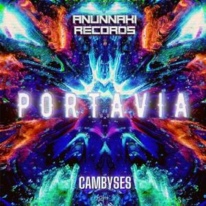 Portavia