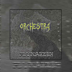 Orchestra