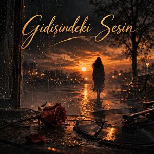 Gidişindeki Sesin