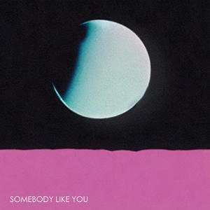 Somebody Like You
