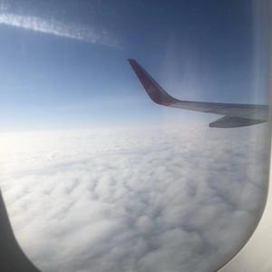 这个世界到底怎么了