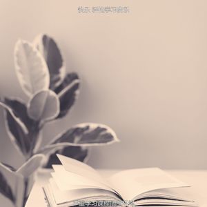 精彩深度聚焦环境