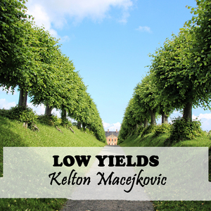 LOW YIELDS