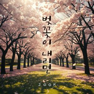 벚꽃이 내리면