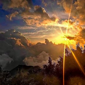 《究竟要多少眼泪 才能把心碎熬成无所谓》