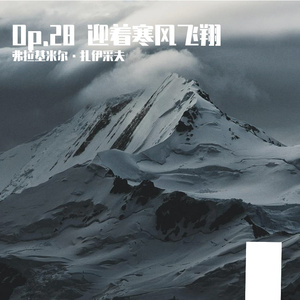 【星尘】Op.27 迎着寒风飞翔 伴奏