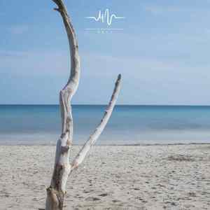 清风的思念 (吉他)