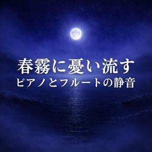 穏やかな波紋が消える境界