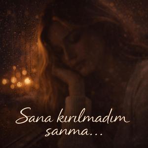 Sana kırılmadım sanma