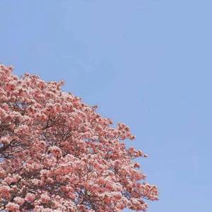 此生与你，不过相逢