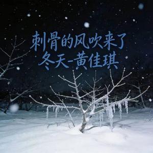 刺骨的风吹来了冬天 (DJ默柱版)