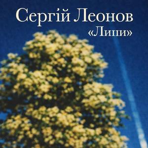 Липи