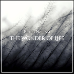 The Wonder of Life