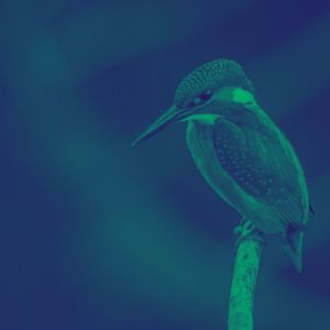 抚慰的在家休息回忆