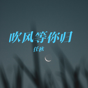 吹风等你归