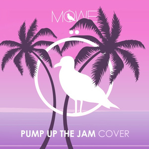Pump Up The Jam (MÖWE Cover)