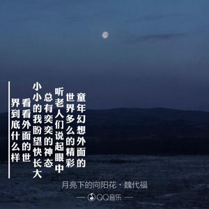 月亮下的向阳花—魏大夫