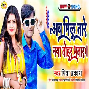 Ab Mil Tare Naya Tohare Bhatar