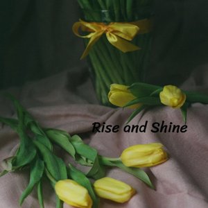 Echoes of Us