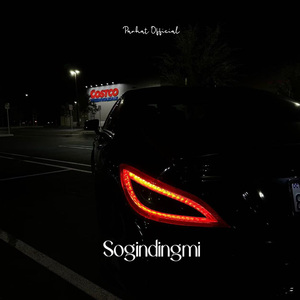 Sogindingmi