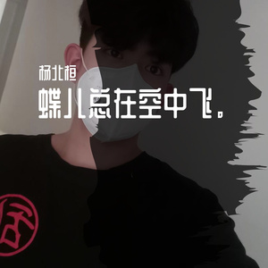 蝶儿总在空中飞