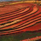 删除一切不敢删除你