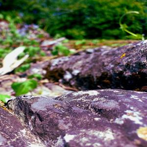 prescise1 properly sign