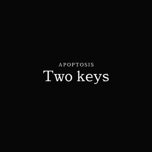 Two keys