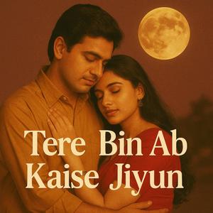 Tere Bin Ab Kaise Jiyun 2
