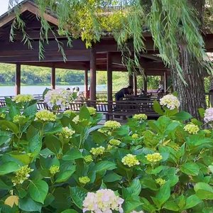 我在月光下许过情真