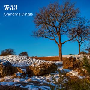 Tr33 (Live Proformence)