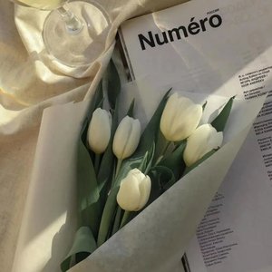 来迟(翻自：戴羽彤)