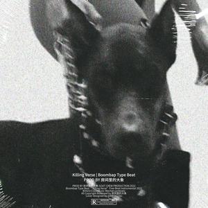 Boombap Type Beat "Killing Verse"