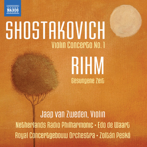 Violin Concerto No. 1 in A Minor, Op. 77:I. Nocturne: Adagio