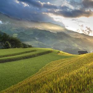 幼稚园杀手的stan