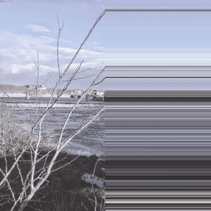 远方只有在死亡中凝聚野花一片