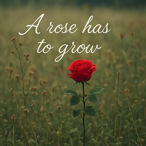 A rose has to grow