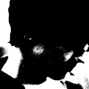 Apiary (Original Mix)