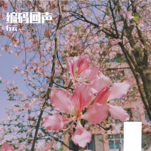 海潮与岸边的交响乐章