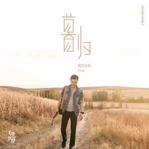 去年烟花特别多