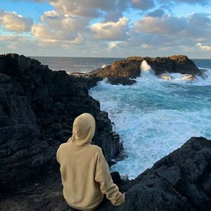 蓝莲花（慢速）