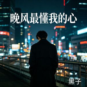 晚风最懂我的心