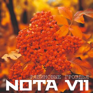 Рябиновые гроздья