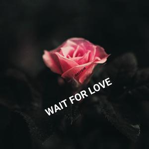 Wait For Love