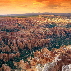 臣服在我的脚下吧