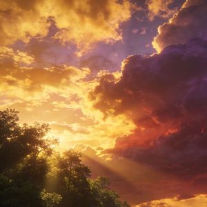 花びらの上の露（花瓣上的雨露） 伴奏