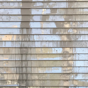 Ridiculous Landscapes (feat. Common Holly and Dominic Coppola)